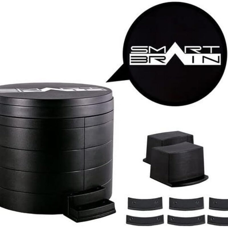 🧠 CSM Display Daiza – Smart Brain Edition | Kamen Rider Faiz